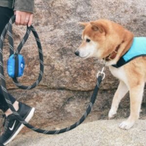 Zippy Paws - Black 6ft Climbers Dog Leash